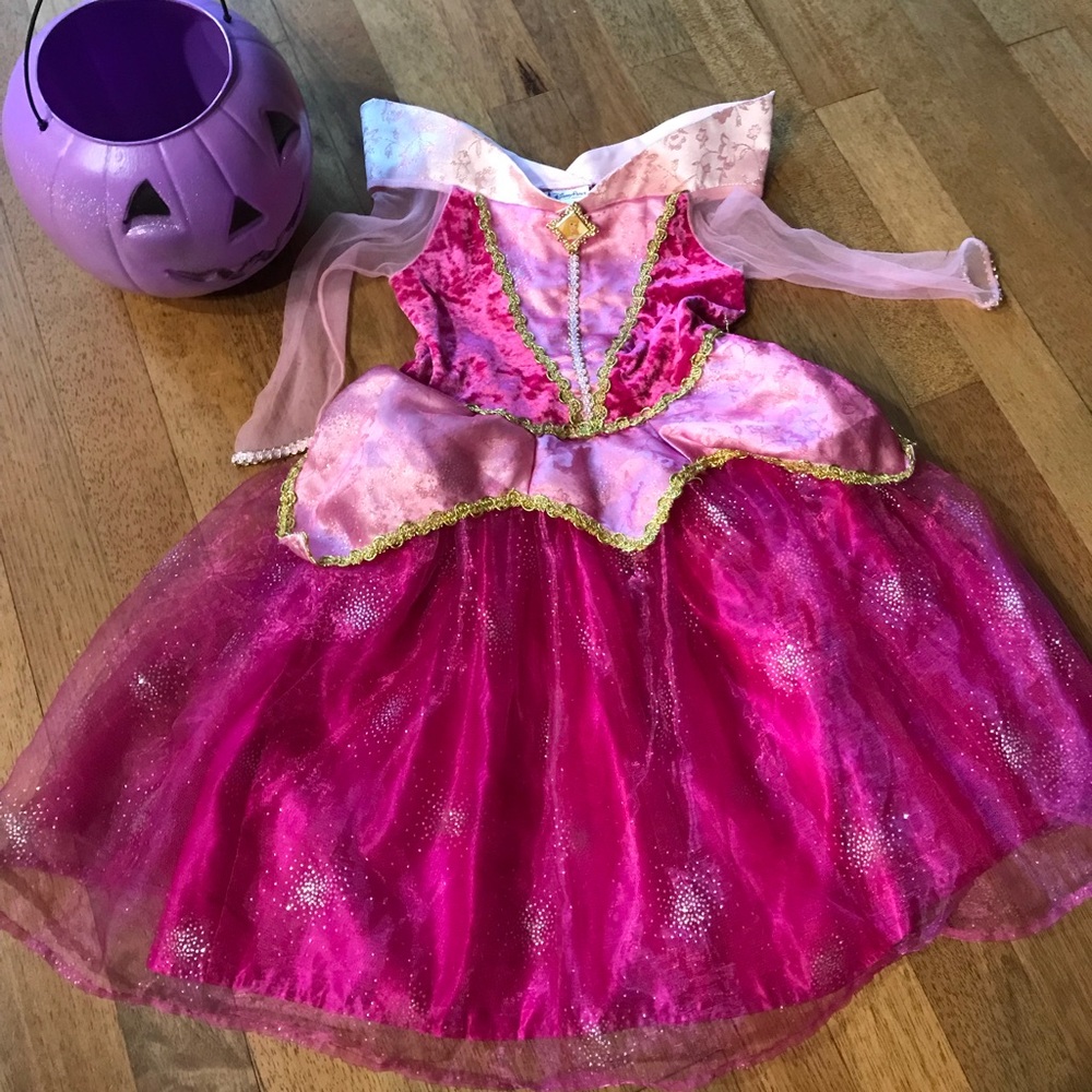 Beautiful princess Aurora dress